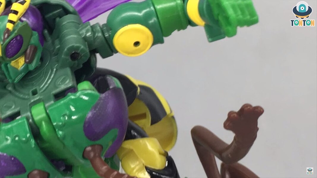 Transformers Kingdom Deluxe Class Waspinator  (5 of 38)